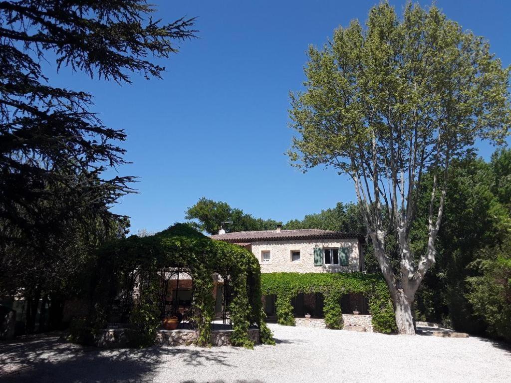 Bed and Breakfast Mas de l'ile à Avignon Extérieur photo