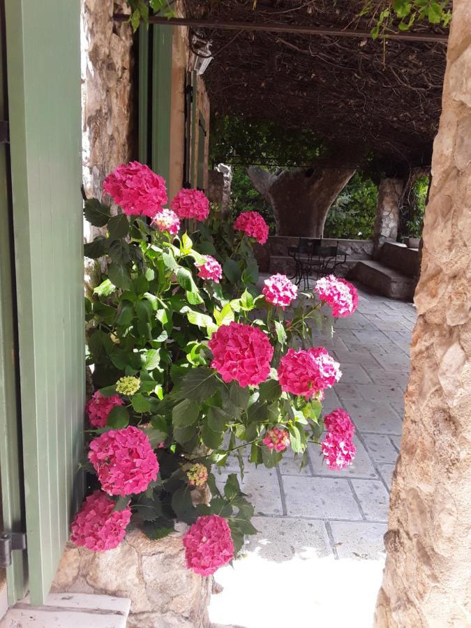 Bed and Breakfast Mas de l'ile à Avignon Extérieur photo