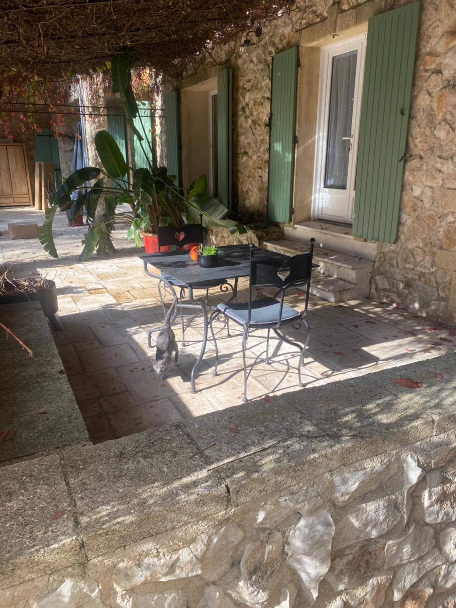 Bed and Breakfast Mas de l'ile à Avignon Extérieur photo